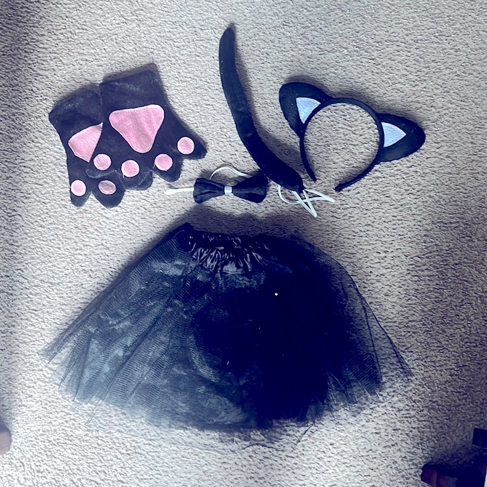Kitty costume for a preschooler